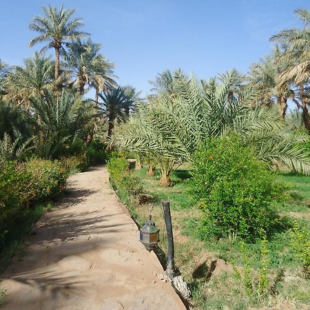 Riad Tagmadarte Ferme D'Hote Zagora Exterior foto