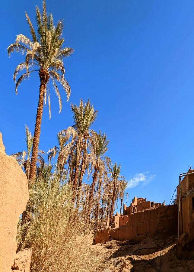 Riad Tagmadarte Ferme D'Hote Zagora Exterior foto