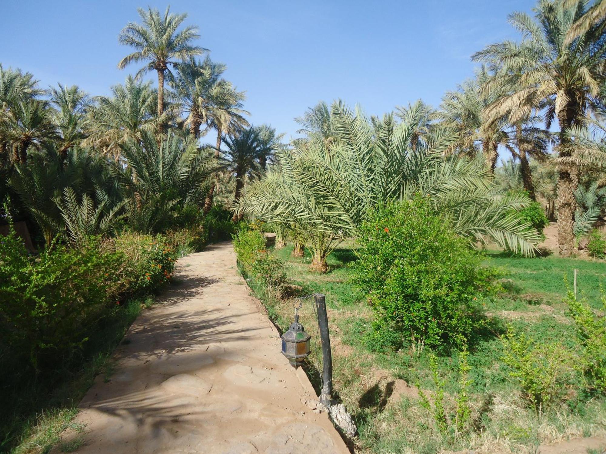 Riad Tagmadarte Ferme D'Hote Zagora Exterior foto