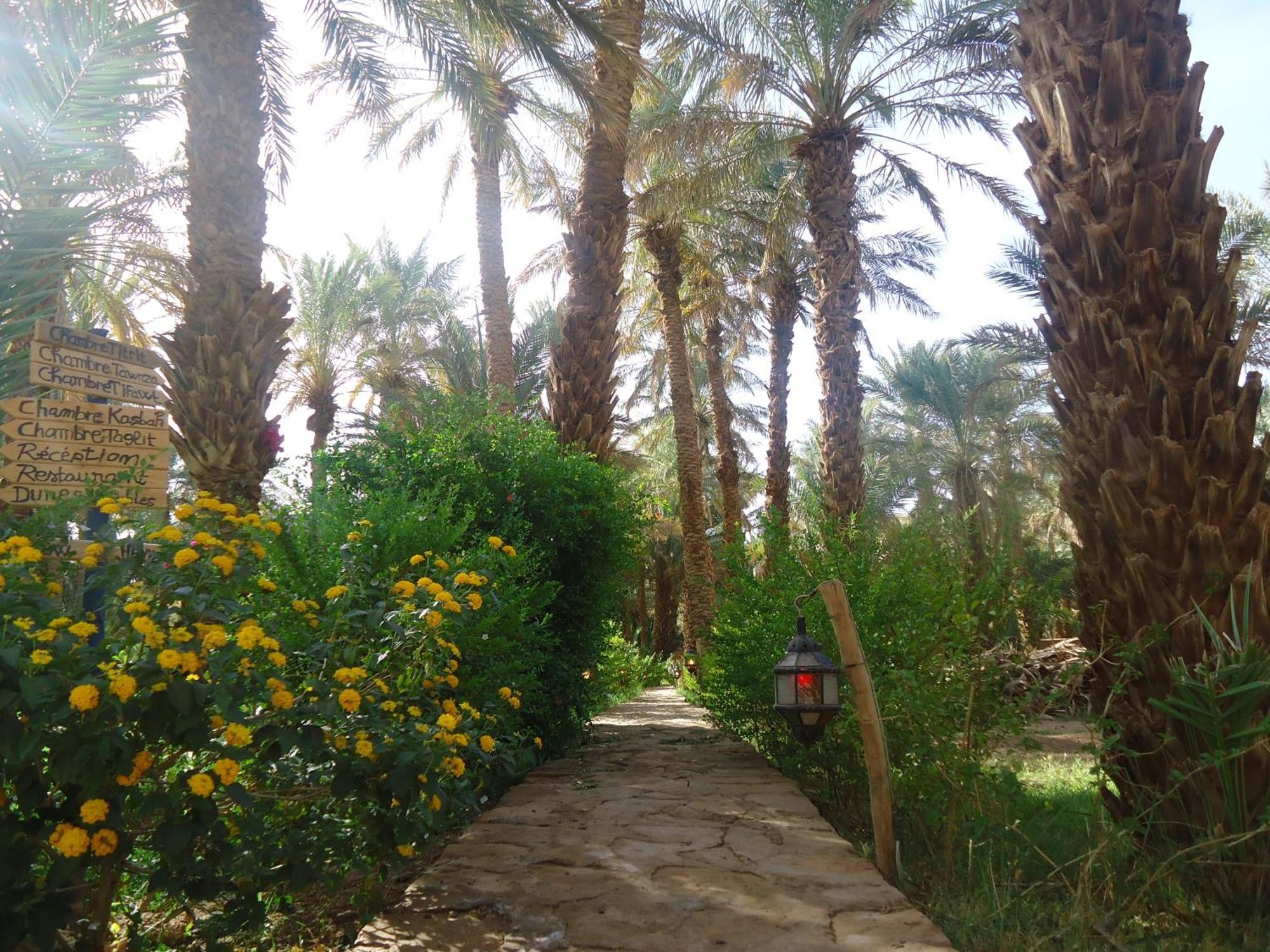 Riad Tagmadarte Ferme D'Hote Zagora Exterior foto