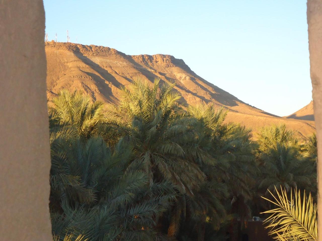 Riad Tagmadarte Ferme D'Hote Zagora Exterior foto