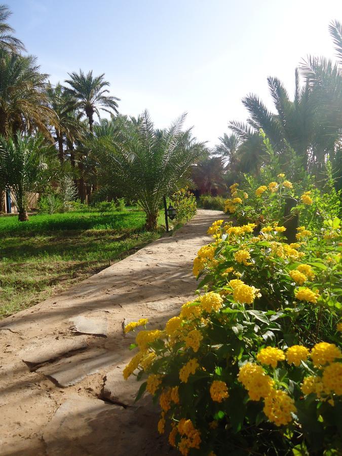 Riad Tagmadarte Ferme D'Hote Zagora Exterior foto