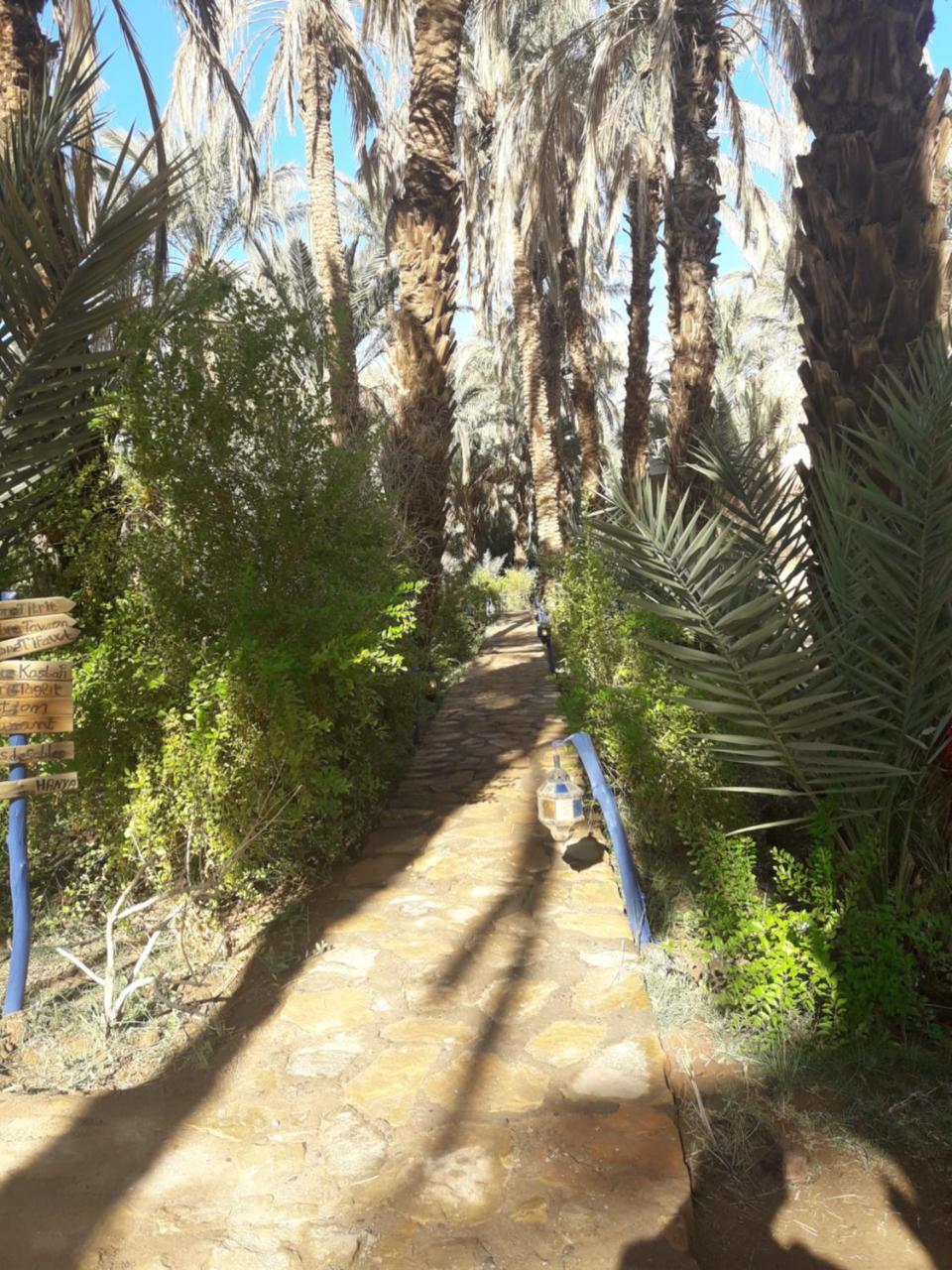 Riad Tagmadarte Ferme D'Hote Zagora Exterior foto
