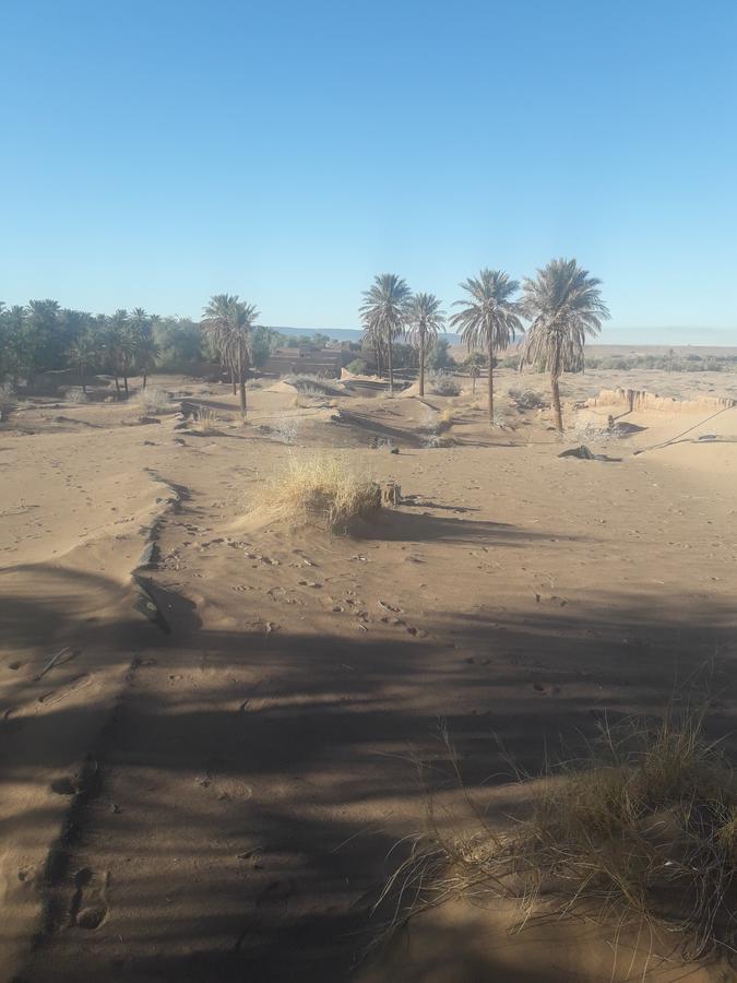 Riad Tagmadarte Ferme D'Hote Zagora Exterior foto
