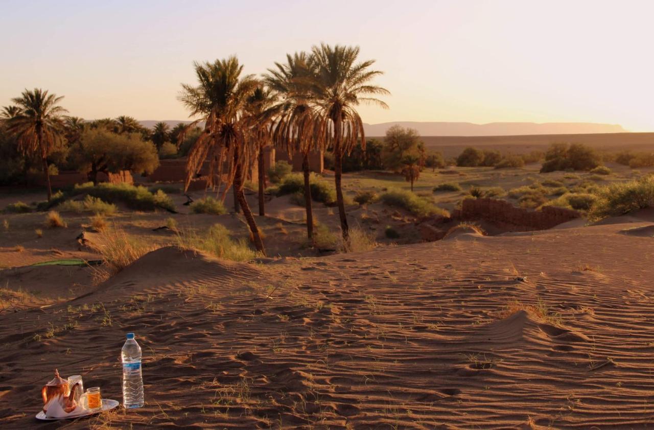 Riad Tagmadarte Ferme D'Hote Zagora Exterior foto