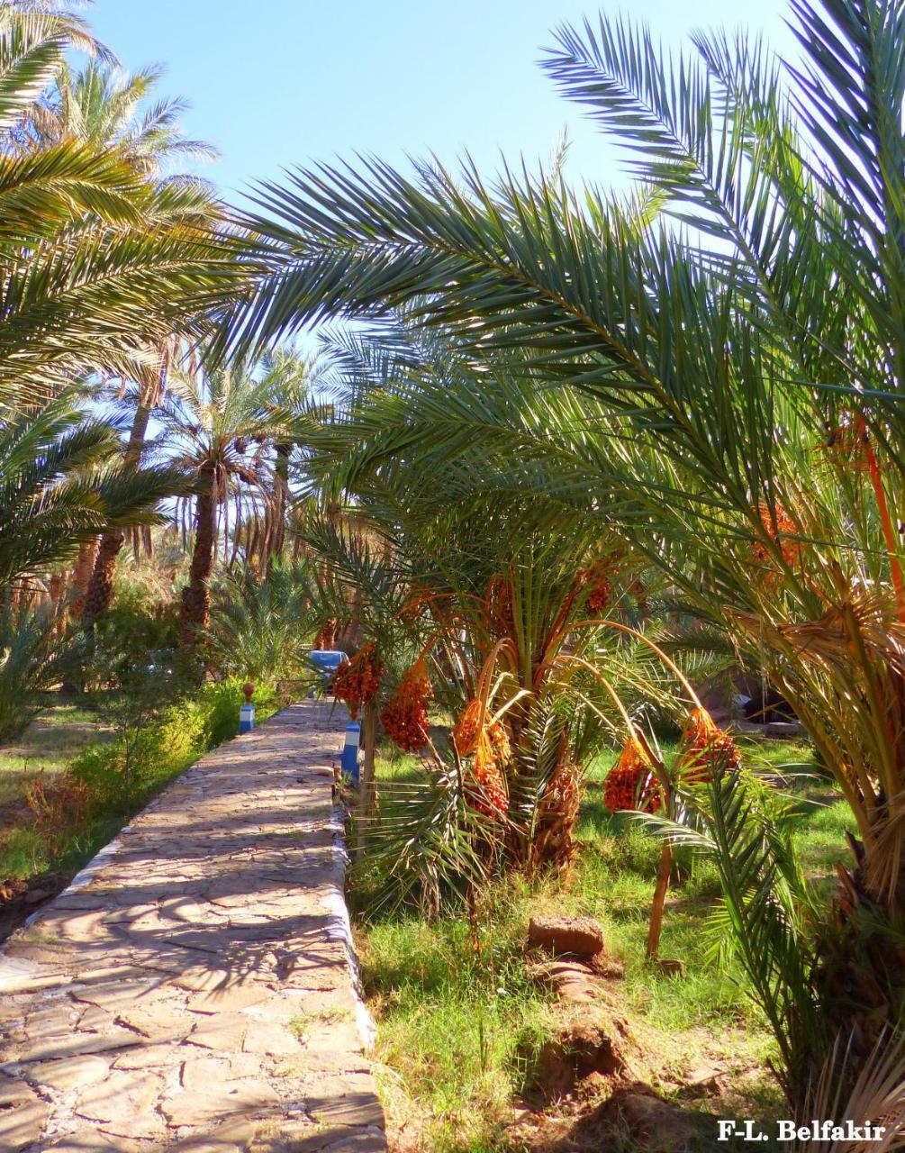 Riad Tagmadarte Ferme D'Hote Zagora Exterior foto