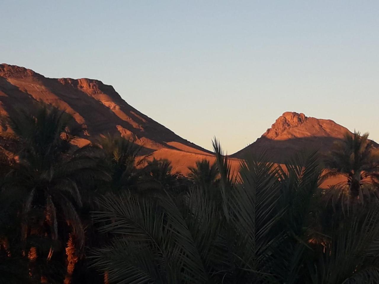 Riad Tagmadarte Ferme D'Hote Zagora Exterior foto